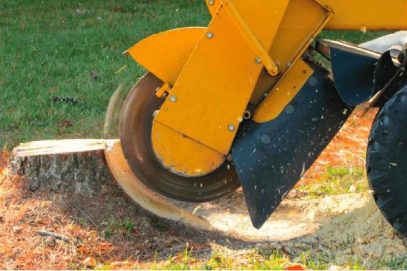 Professional stump grinder machine grinding down a tree stump